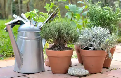 Kräuterbeet Ideen für Garten und Balkon
