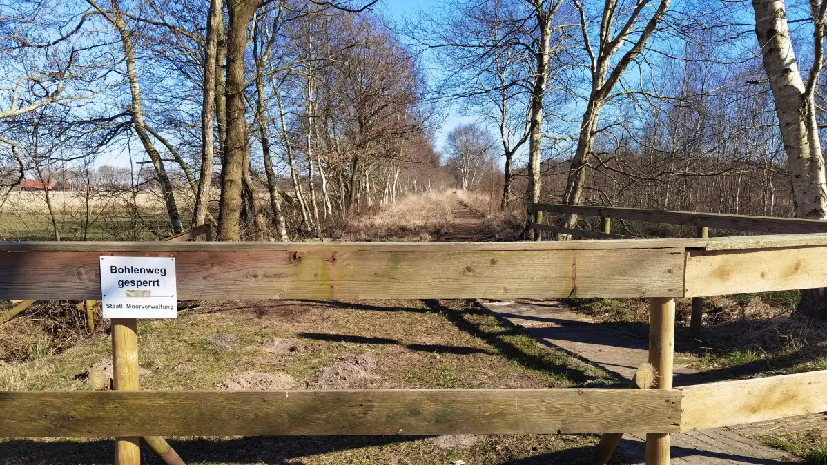 Bohlenweg am Ewigen Meer in Eversmeer Samtgemeinde Holtriem überlegt