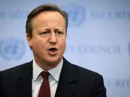 &laquo;Wir sind mit einer Situation furchtbaren Leidens in Gaza konfrontiert&raquo;: David Cameron.