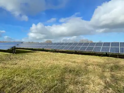 Am Stadtrand von Jever gibt es im Bereich Vereinigung sowie auf Fl&auml;chen am Ortsausgang Richtung Hohenkirchen Interessenten f&uuml;r den Bau von Freifl&auml;chen-Photovoltaik.