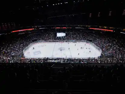 Kein Club in Europa hat im Schnitt mehr Zuschauer als die K&ouml;lner Haie.