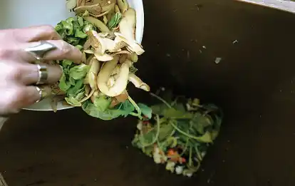 Biom&uuml;ll geh&ouml;rt in die Biotonne: Mit dem neuen Konzept will der Landkreis Oldenburg unter anderem den biogenen Anteil im Restm&uuml;ll senken. (Symbolbild)