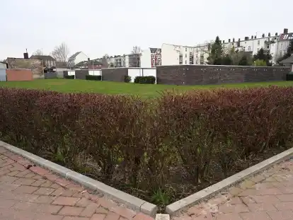Auf diesem Eckgrundst&uuml;ck an der Deichstra&szlig;e/Am Handelshafen sollen Wohnh&auml;user gebaut werden. Daf&uuml;r erteilte die Stadt jetzt die Genehmigung. Gewerbebetriebe in der N&auml;he sehen dies kritisch.