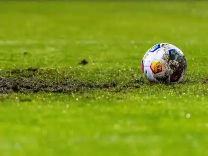 Nach Ansicht der EU-Markenbeh&ouml;rde darf sich die umstrittene 