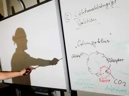 <p>Ein Lehrer wirft einen Schatten auf ein Smartboard in einem Biologie-Leistungskurs.Die Bundesl&auml;nder erwarten einen Zuschuss von 6,5 Milliarden Euro f&uuml;r eine Fortsetzung des Digitalpakt Schule 2.0.</p>
