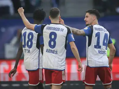 Mit dem Sieg gegen Wiesbaden h&auml;lt der Hamburger SV Anschluss an die direkten Aufstiegsr&auml;nge.