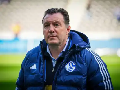 Schalke-Sportdirektor Marc Wilmots stellt sich vor seinen Trainer.