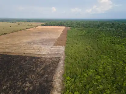 Das Luftbild zeigt eine verbrannte und abgeholzte Fl&auml;che im brasilianischen Amazonas-Gebiet.