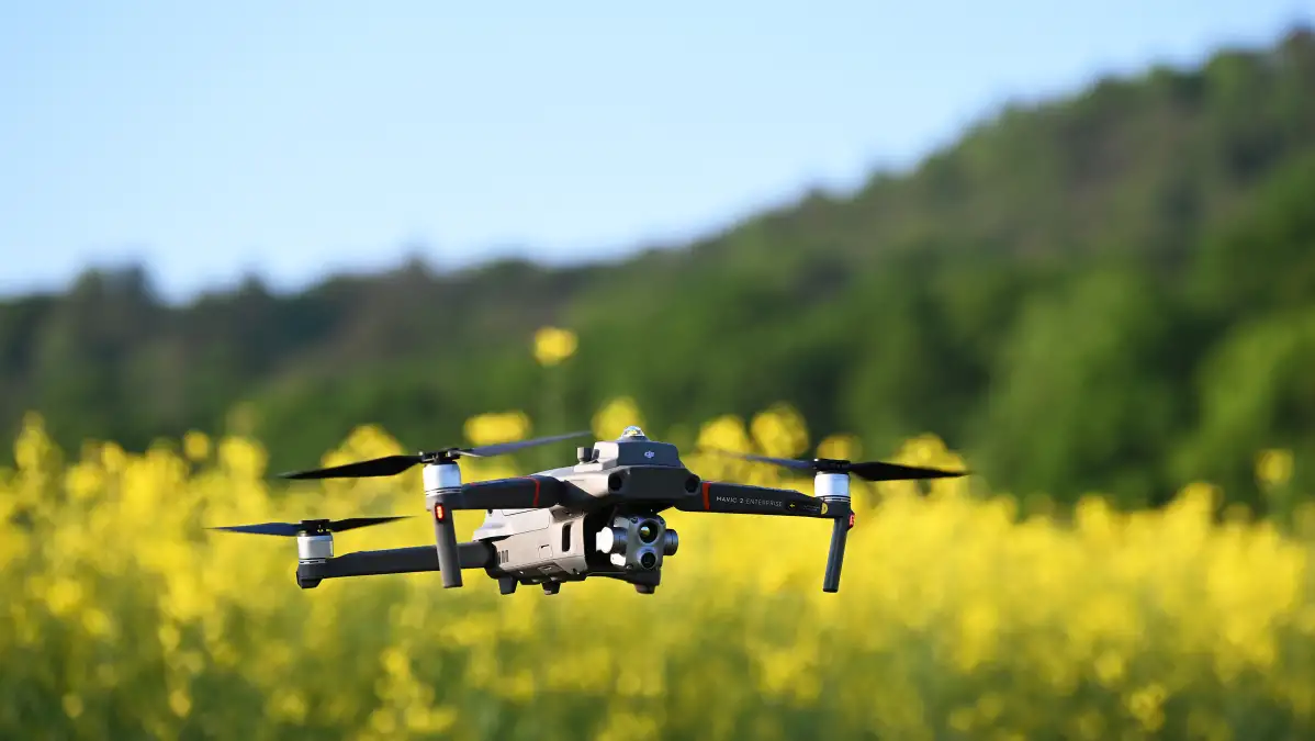 Luftbildaufnahmen im Wangerland Darum fliegen im April Drohnen über