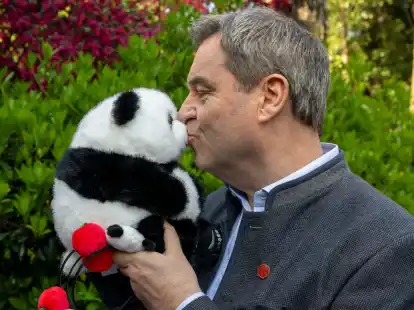 Markus S&ouml;der hat als Gastgeschenk einen Panda-Pl&uuml;schb&auml;ren bekommen.