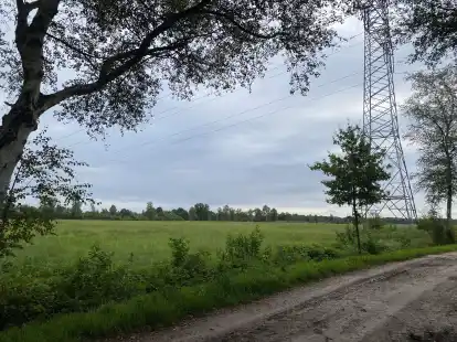 Ungef&auml;hr hier, entlang des &ouml;stlichen Vorfluters in Benthullen, k&ouml;nnte bald ein Windpark stehen. Damit argumentiert auch die Initiative &bdquo;Zwei Wardenburger Windparks sind genug&ldquo; mit Blick auf ein weiteres Projekt in Westerholt.