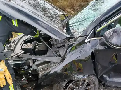 Komplett zerst&ouml;rt: das Unfallauto nach dem Zusammensto&szlig; mit dem Baum.