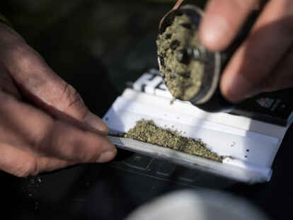 Ein Mann schüttet zerkleinertes Marihuana in einen Joint.