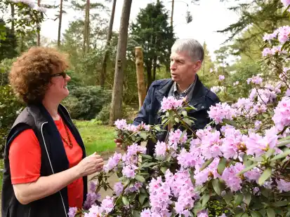 Haben sich die ersten Rhododendronblüten angesehen: Anke Feindt und Thomas Nielsen sind aus der Nähe von Buxtehude in den Rhodopark nach Westerstede gekommen.