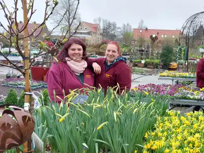 Das Team von Annehilde Pohl berät auch bei Regen und Sturm.