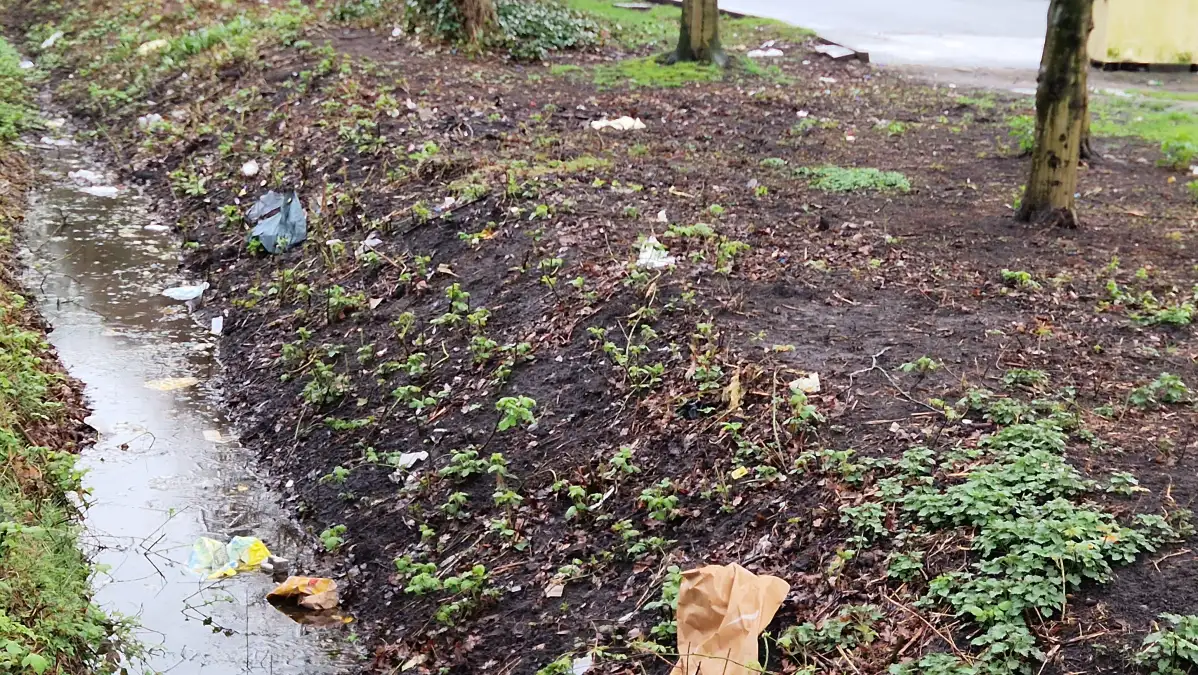 Illegale Müllkippen in Oldenburg: Bürger stellt Fragen an Politik