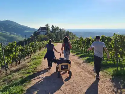 Ab in die Natur: Mit &laquo;Durbach Adventures&raquo; auf Weintour durch die Ortenau.
