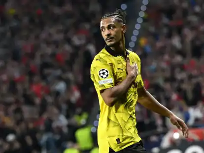 S&eacute;bastien Haller erzielte den so wichtigen Treffer f&uuml;r den BVB.