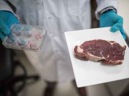 Wem schmeckt Laborfleisch? Darüber diskutieren Wirtschaftsethiker Nick Lin-Hi und der Vize-Präsident des Niedersächsischen Landvolks und Schweinehalter Jörn Ehlers im neuen Livetalk „Nachhaltig kontrovers“.