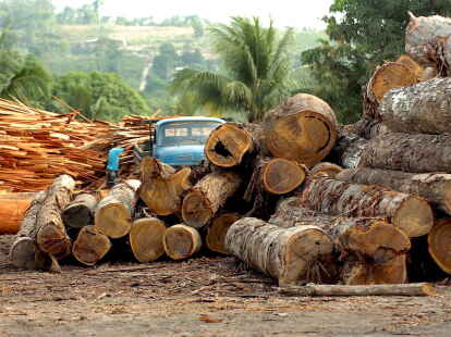 Regenwald-Abholzung in Südamerika (Symbolbild): Das Gustav-Adolf-Werk will Spenden für ein Aufforstungsprojekt sammeln.