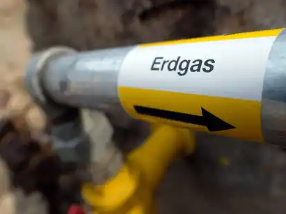 Experten bezweifeln die Wirksamkeit von Ausgleichsma&szlig;nahmen beim &laquo;klimaneutralen Erdgas&raquo;.