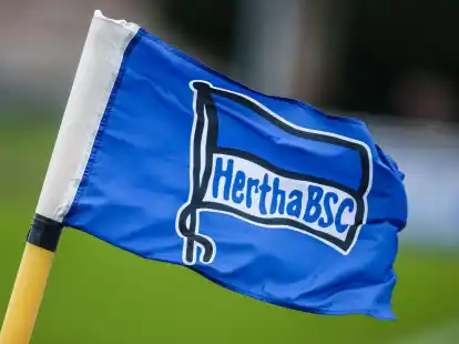 Hertha hat erstmals seit vielen Jahren eine Saison mit einem positiven Betriebsergebnis abgeschlossen.