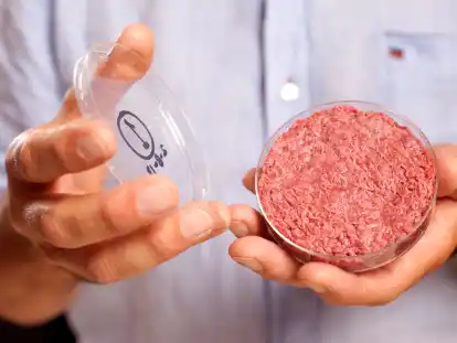 Schon 2013 präsentierte Mosa-Meat-Mitgründer Mark Post kultiviertes Rindfleisch.