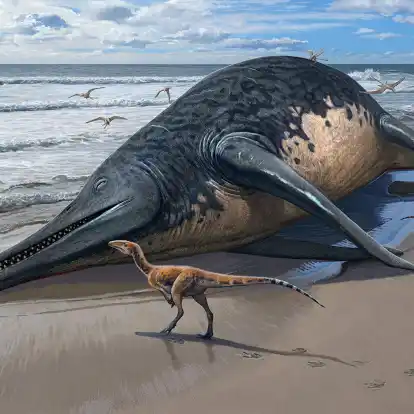 Die künstlerische Darstellung zeigt einen angeschwemmten Ichthyotitan severnensis-Kadaver am Strand.