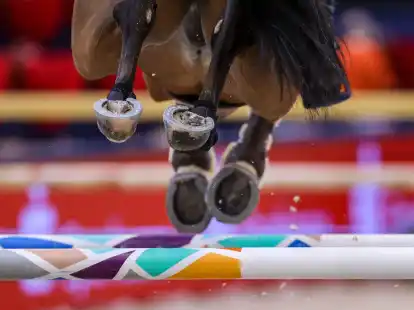Beim Weltcup-Finale in Riad starb nach dem zweiten Springen ein Pferd.