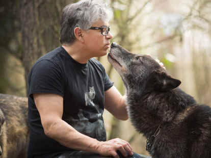 Hat seine Karriere als Rechtsanwalt aufgegeben und widmet sein Leben seit 20 Jahren den Wölfen: Christian Berge lebt vor den Toren Hannovers mit einem Rudel Wolfshunde zusammen.