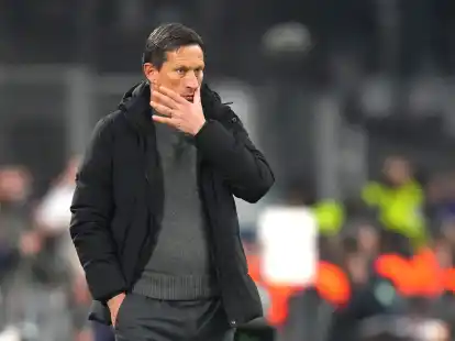 Nach erneut teils harschen Protesten hat Trainer Roger Schmidt einen Teil der Anh&auml;nger von Benfica Lissabon deutlich kritisiert.