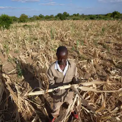James Tshuma, ein Bauer im Südwesten Simbabwes, im März 2023 inmitten seines ausgetrockneten Feldes.