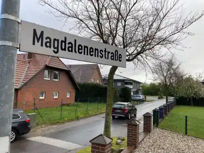 Die Rotbuchen an der Magdalenenstra&szlig;e sollen gef&auml;llt und ersetzt werden.