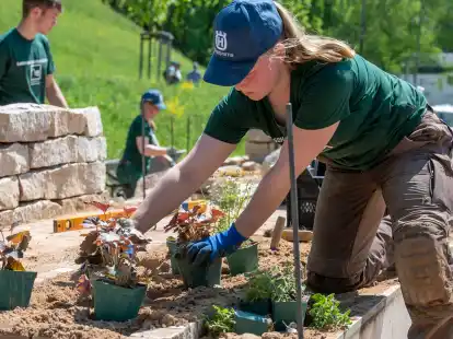 Bad Zwischenahn Berufswettbewerb LandschaftsgärtnerCup im Park der Gärten