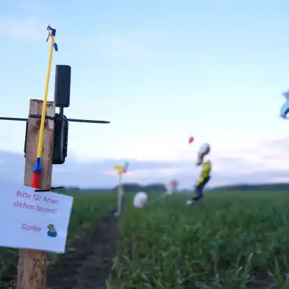Ballons, Süßigkeiten und eine Wildkamera stehen auf einem Feld bei Bremervörde. Von dem vermissten sechs Jahre alten Jungen aus dem niedersächsischen Bremervörde fehlt noch immer jede Spur.