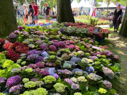Blumenpracht bei Garten & Ambiente: Die Landpartie in Nordenham ist ein Fest für alle Sinne.