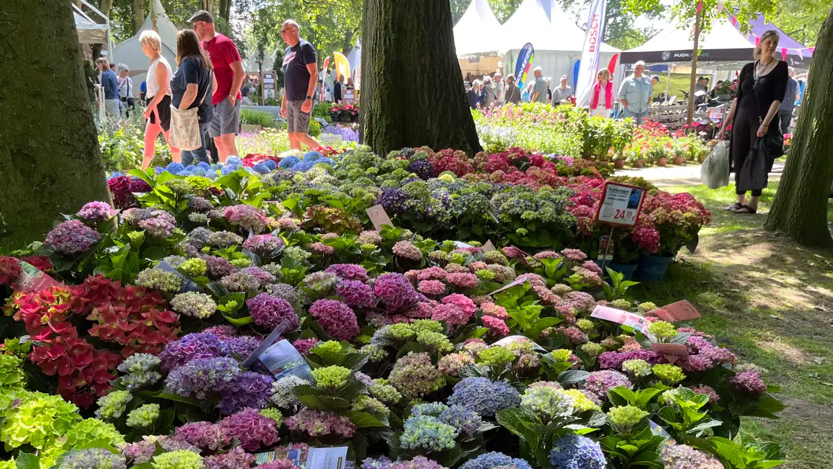 Garten & Ambiente am 1. und 2. Juni in Nordenham Landpartie mit Live