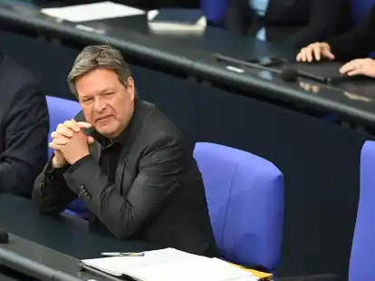 &laquo;Ich h&auml;tte es mir gew&uuml;nscht, dass wir mit dem Paket auch eine F&ouml;rderung f&uuml;r die Produktion von Solarpaneelen in Deutschland beschlie&szlig;en&raquo;: Robert Habeck.