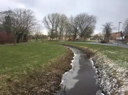 Die Gro&szlig;e Norderb&auml;ke k&ouml;nnte renaturiert werden. Das wurde im  Umweltausschuss des Kreises diskutiert.