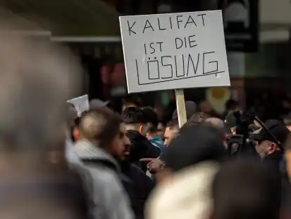 Totalitär: Teilnehmer einer Islamisten-Demo in Hamburg