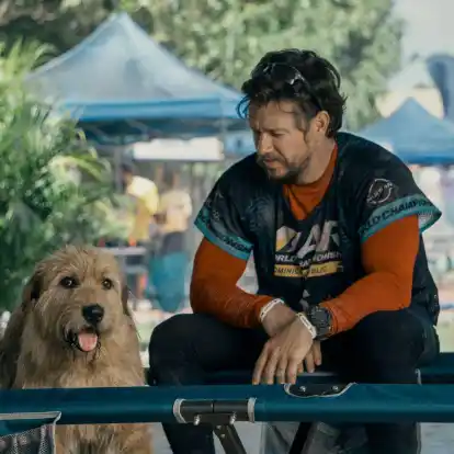Mark Wahlberg als Michael in einer Szene des Films «Arthur der Große». Der Schauspieler setzt sich für die Adoption von Haustieren ein.