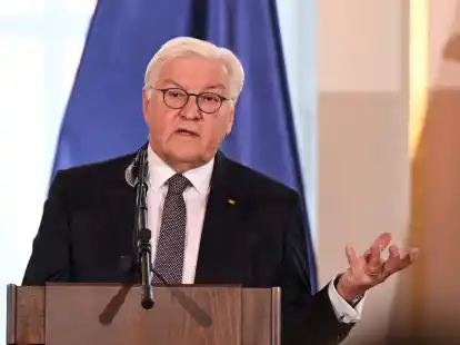 &laquo;Ja, muss man &uuml;ber alles diskutieren, und die Milit&auml;rexperten, die Kaliber-Experten, tun das ja auch mit Ausgelassenheit und mit wachsendem Ehrgeiz&raquo;:&nbsp;Bundespr&auml;sident Frank-Walter Steinmeier.