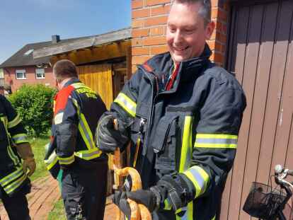 Feuerwehrmann Holger Burke hält die Schlange, die die Feuerwehr Bösel am Dienstagmittag aus einem Gartenschuppen geholt hat.