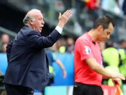 Der fr&uuml;here Nationaltrainer Vicente del Bosque ist zum Leiter der staatlichen &Uuml;berwachungskommission f&uuml;r den nationalen Verband RFEF ernannt worden.