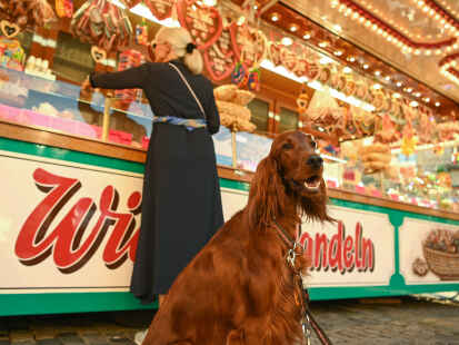 Bilder wie dieses soll es künftig auf dem Bockhorner Markt nicht mehr geben. Hunde sollen laut der neuen Marktordnung ab diesem Jahr zu Hause bleiben.