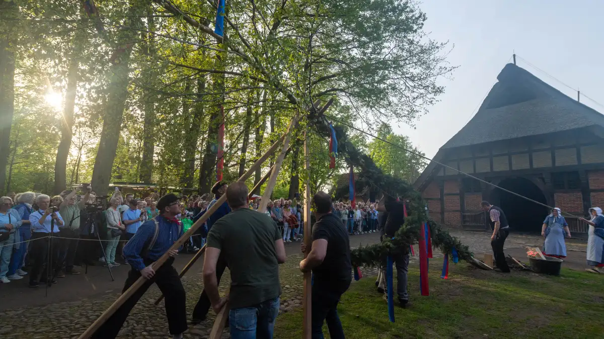 1. Mai im Ammerland Maibäume, Partys, Flohmarkt und mehr bei bestem Wetter