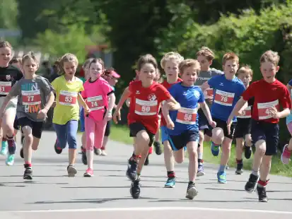 Auch die jüngsten Läufer trotzten in Gristede den hohen Temperaturen: Beim Schülerlauf über die 1500 Meter waren 43 Kinder mit dabei.