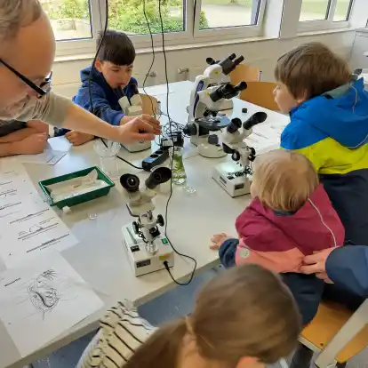Mikroskopieren mit Lehrer Gerke Kunz durften die Viertklässler unter anderem beim Tag der offenen Tür an der IGS Am Everkamp.