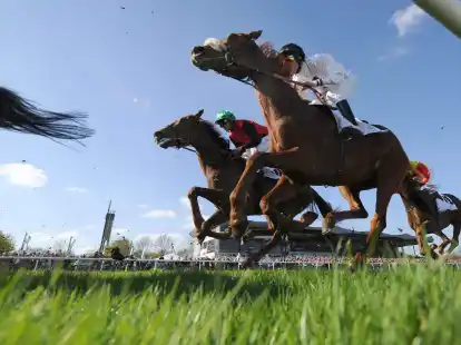 Unter Rennpferden gibt es Spezialisten f&uuml;r Sprint, f&uuml;r Langstrecken, aber auch f&uuml;r Hindernisrennen.
