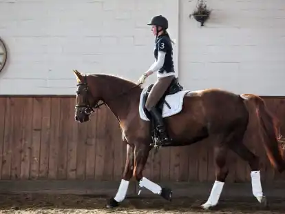 Wer den Sitz auf dem Pferd verbessern m&ouml;chte, sollte seine Schwachstellen zun&auml;chst am Boden bearbeiten.